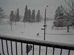 DSC02627.JPG