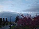 DSC02928.JPG